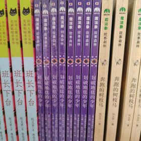 划破地毯的少年（魔法象·故事森林）