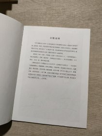 历代碑帖放大精选系列：雁塔圣教序放大精选