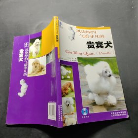 风姿绰约气质非凡的贵宾犬