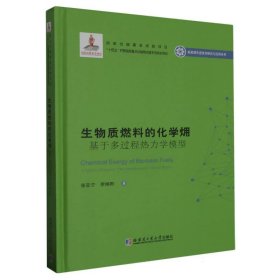 生物质燃料的化学？：基于多过程热力学模型（2020新能源基金）