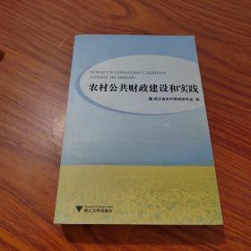 农村公共财政建设和实践