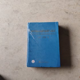 新型锅壳锅炉原理与设计