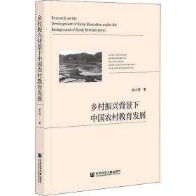 乡村振兴背景下中国农村教育发展 教学方法及理论 姚永强 新华正版