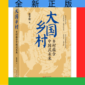 大国乡村：乡村蕴含中国式未来