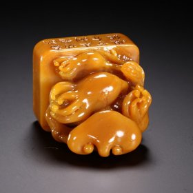 名家款 田黄石灵芝钮印章