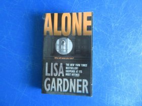 Alone: A Detective D. D. Warren Novel