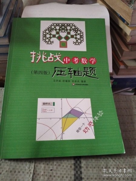 挑战中考数学压轴题