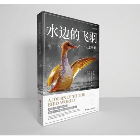 正版✔如是观鸟集(全三册) 沈荣✍正版全新稀缺书籍现货