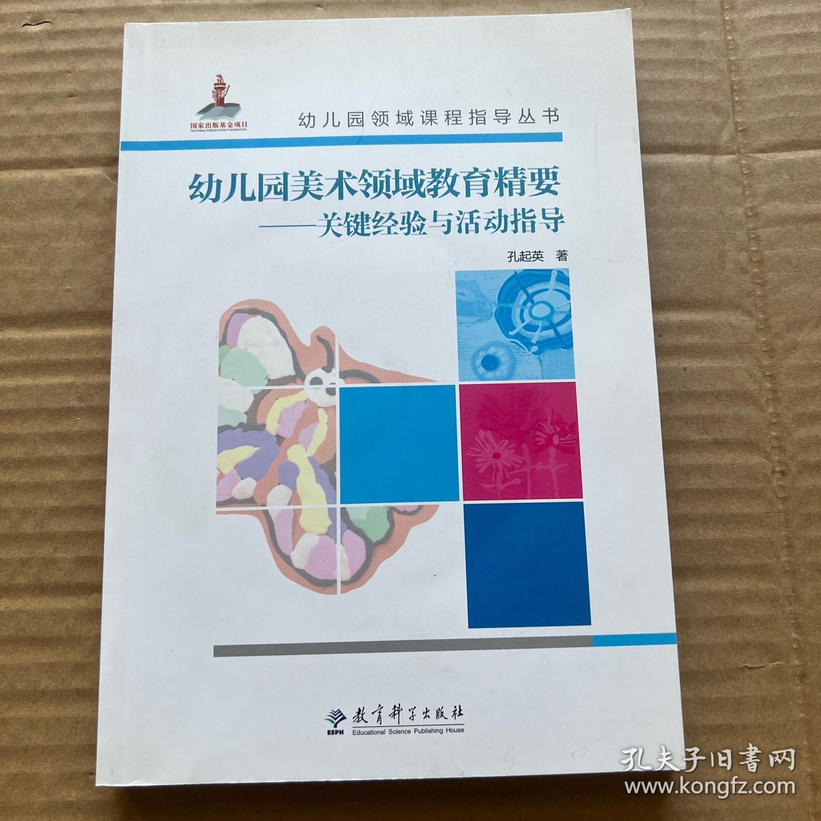 幼儿园美术领域教育精要——关键经验与活动指导 附光盘