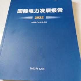 国际电力发展报告2022