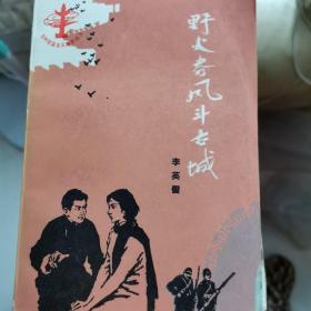 野火春风斗古城