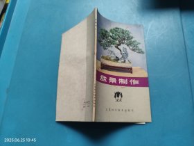 盆景制作
