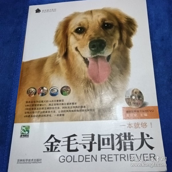 金毛寻回猎犬