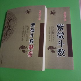 紫微斗数解密+紫微斗数 两本合售