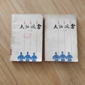 大江风雷（上下）