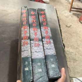 中国抗日战争图志（上中下全）