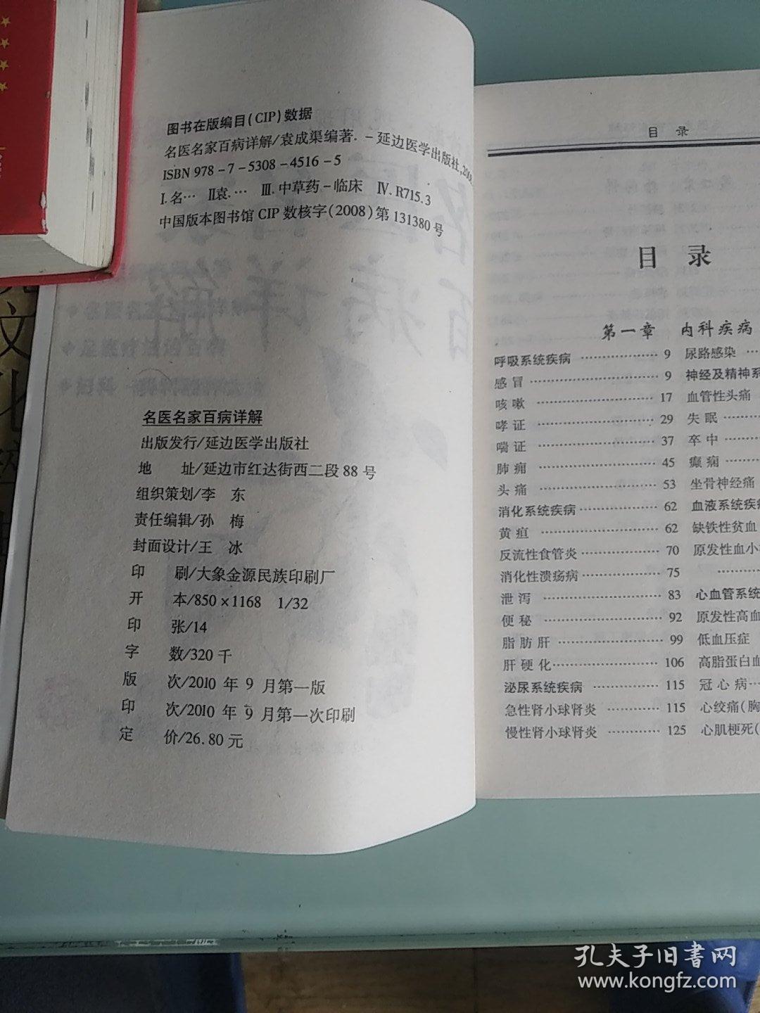 名医名家百病详解