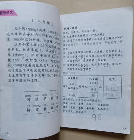 九年义务教育六年制小学教科书语文 第六册（彩版）