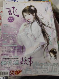 飞魔幻2009年04月