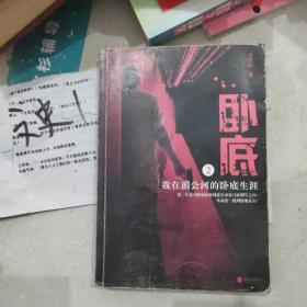 卧底2：我在湄公河的卧底生涯