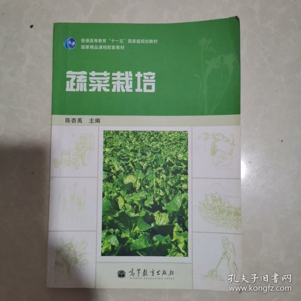 蔬菜栽培