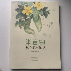 美绘时光 半亩田 院子里的蔬菜