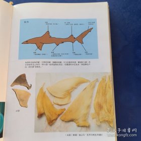 饮食天地丛书4：海味干货大全（硬精装）（实物拍图，外品内页如图，内页干净整洁无字迹，无划线）实图为准看图下单