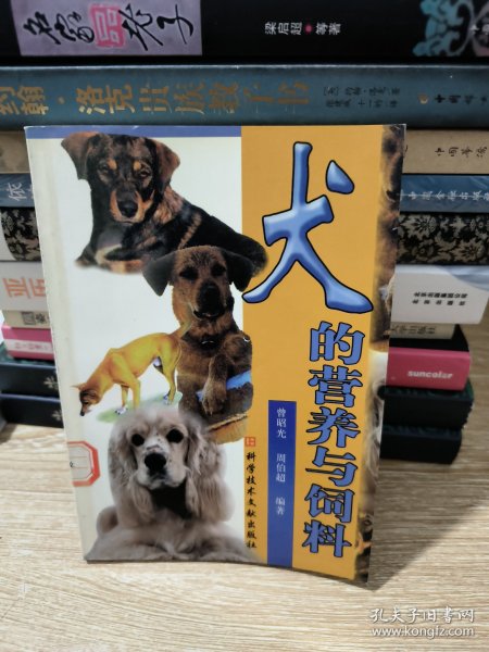 犬的营养与饲料