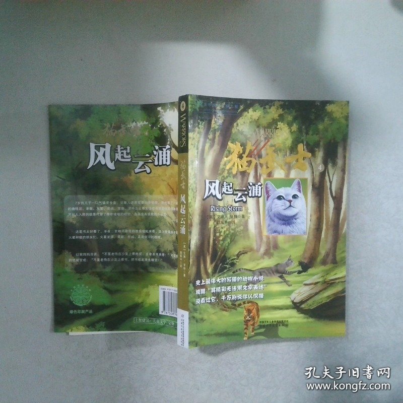 猫武士4:风起云涌