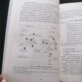 高级营养学（第2版）/高等院校营养与食品及相关专业研究生参考教材