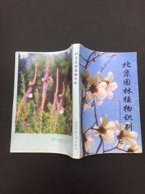 北京园林植物识别