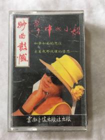 梦中的小船，妙曲鼓憾 （已试听）