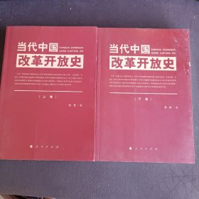 当代中国改革开放史（上下卷 全二卷 2本合售）