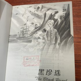 国际大奖小说（升级版）：黑珍珠