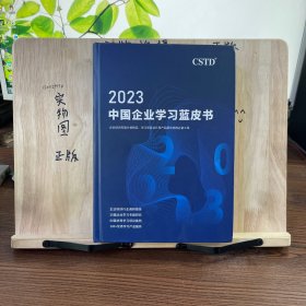 2023中国企业学习蓝皮书