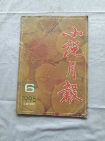 小说月报1995年第6期