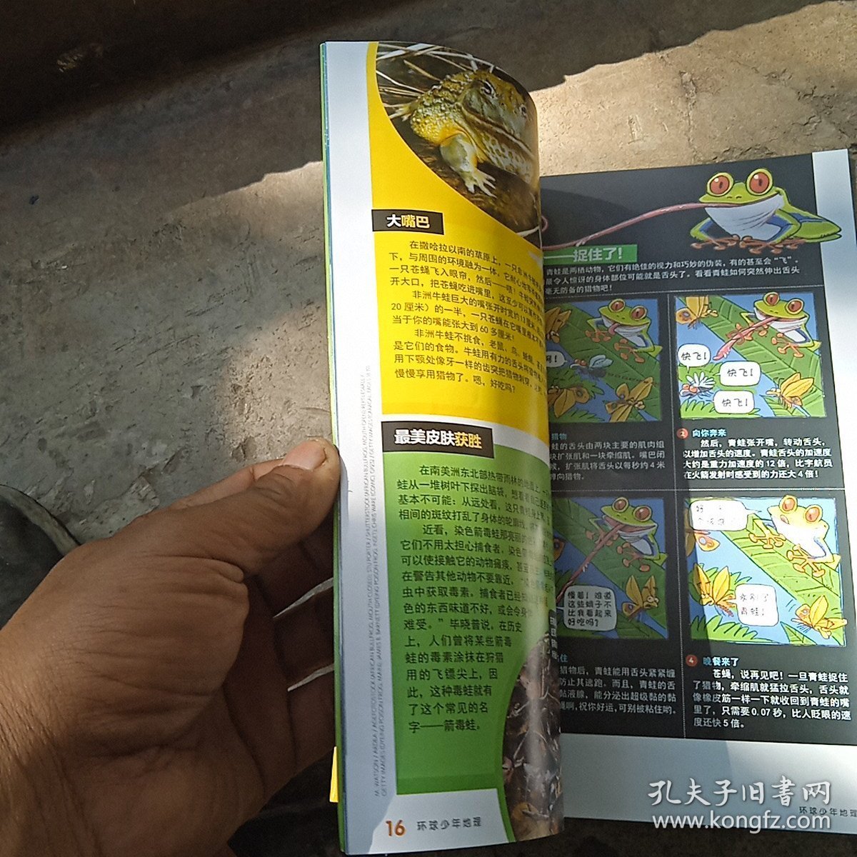 环球少年地理2022年，3