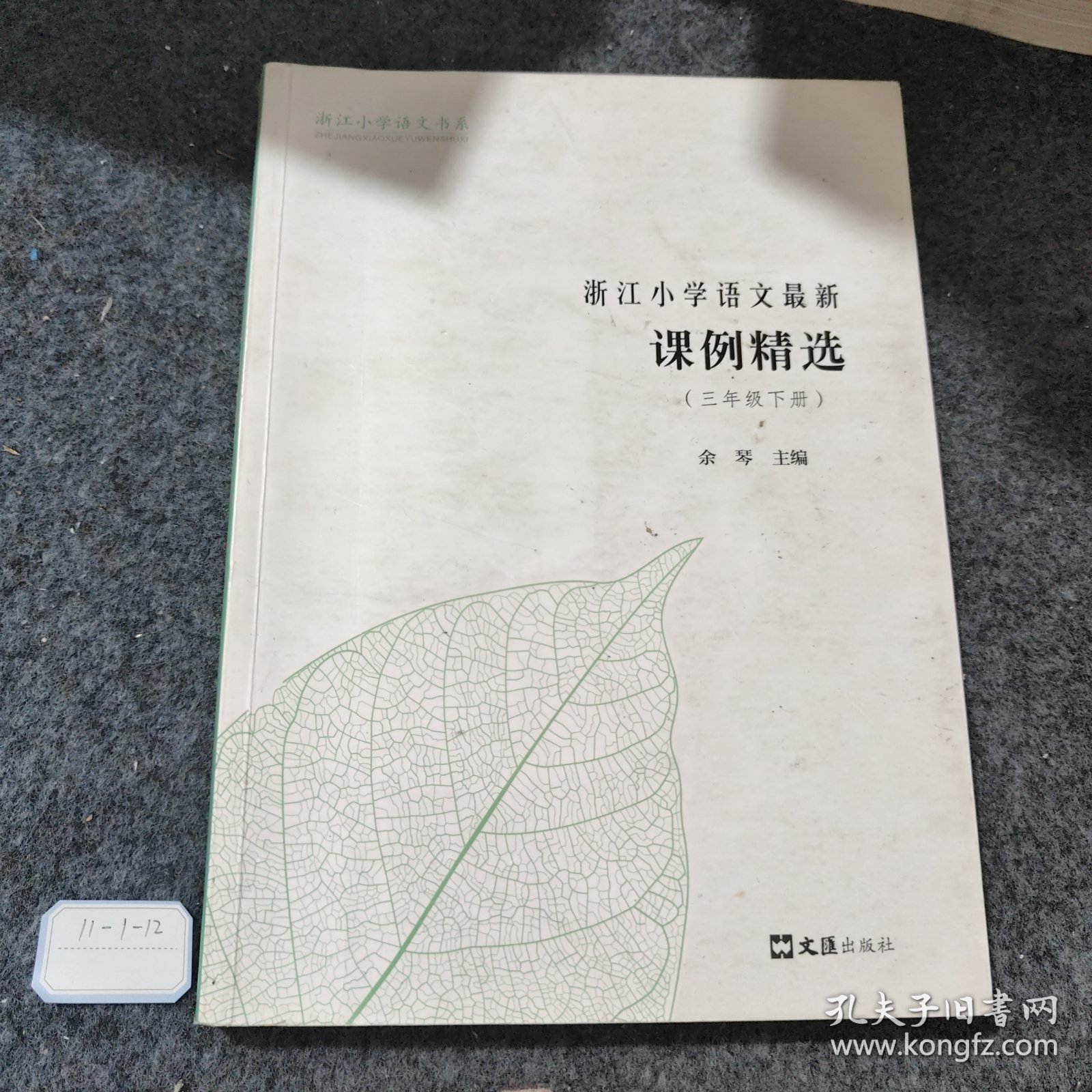 浙江小学语文最新课例精选（三年级下册）/浙江小学语文书系