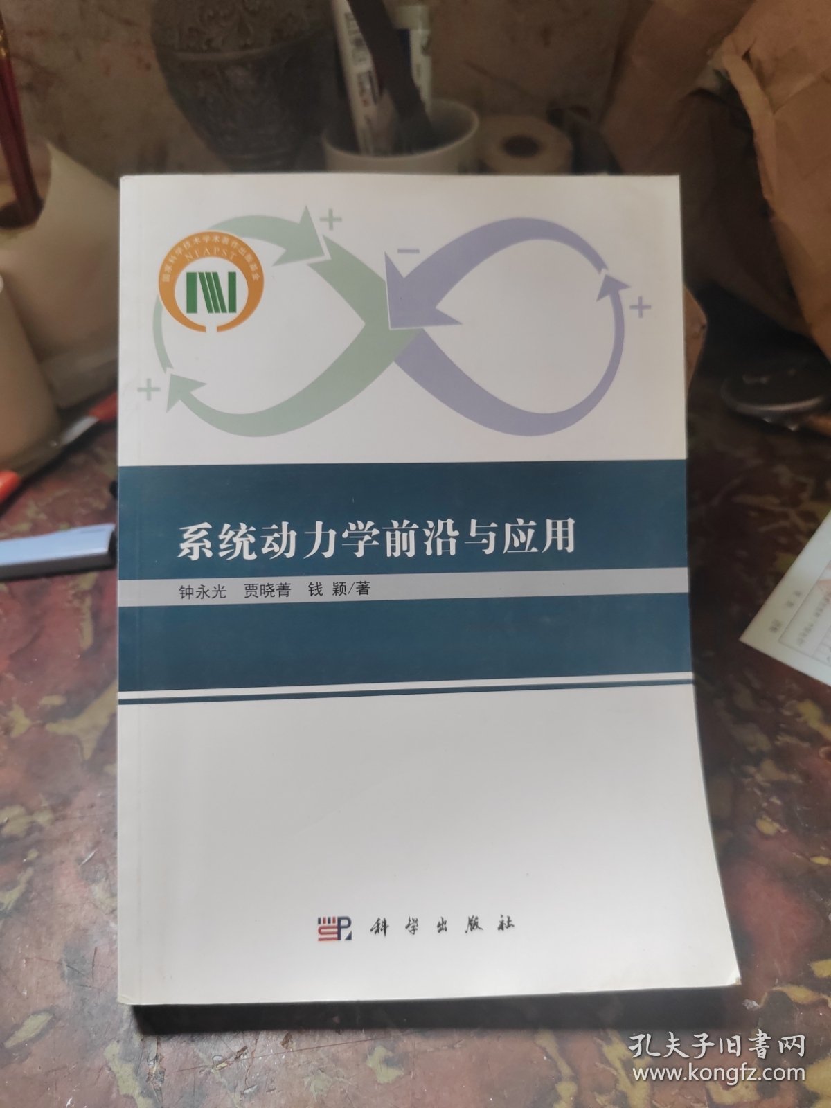 系统动力学前沿与应用