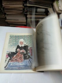 杨之光水墨写生集