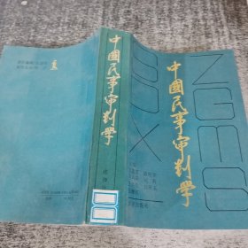 中國民事審判學(xué)