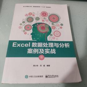 Excel数据处理与分析案例及实战