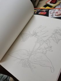 大人的涂绘01：春日花绘