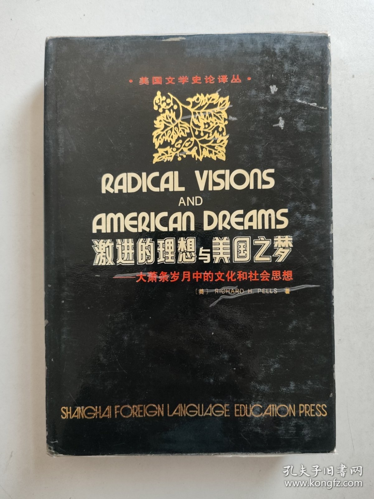 激进的理想与美国之梦：大萧条岁月中的文化和社会思想（精装）