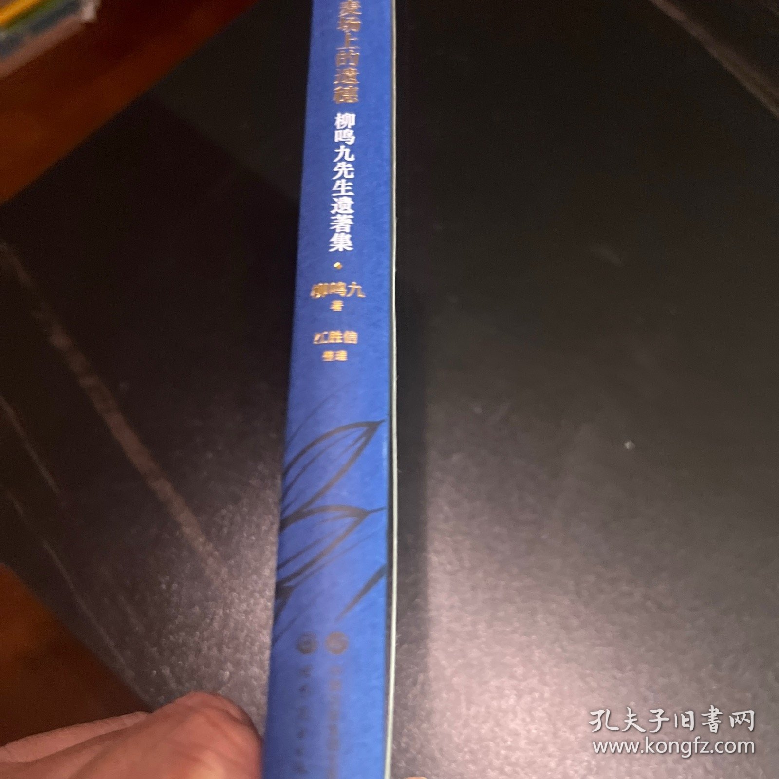 麦场上的遗穗：柳鸣九先生遗著集