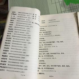 广西草地植物名录(上下全.油印)