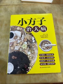 小方子治大病 中医书籍养生偏方大全民间老偏方美容养颜常见病防治 保健食疗偏方秘方大全小偏方老偏方中医健康养生保健疗法
