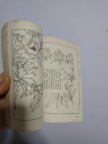 花卉画谱 品相自然旧 竖版 非馆藏无涂画 1963年一版一印 精品近85品