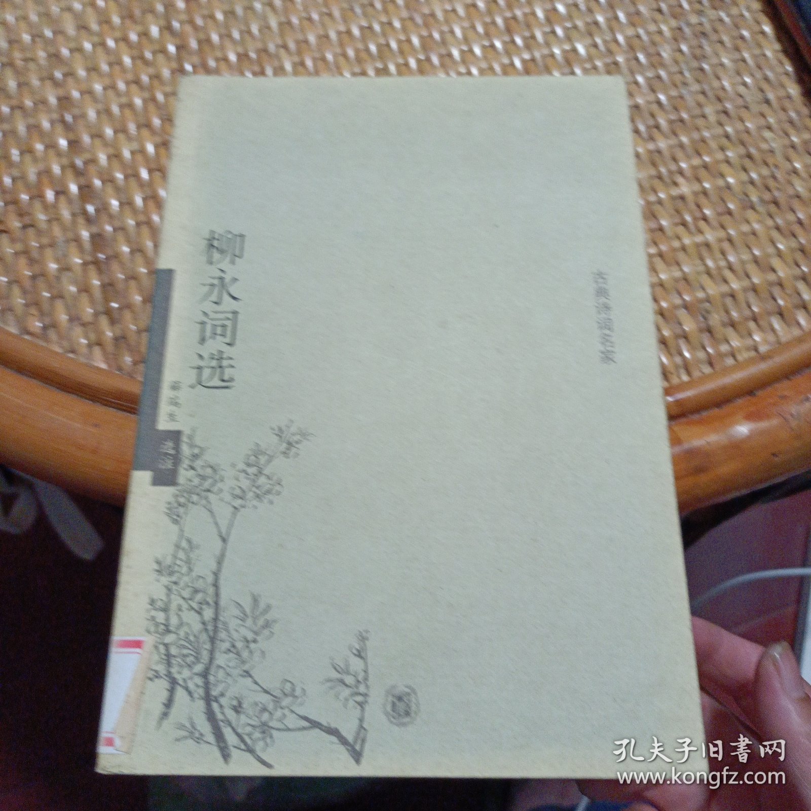 柳永词选