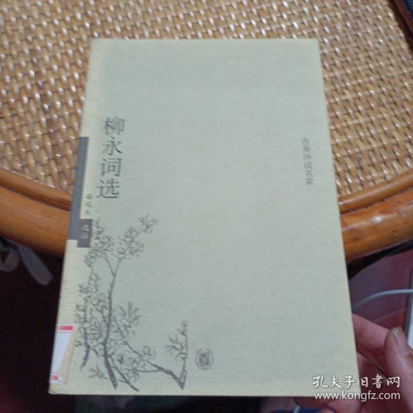 柳永词选